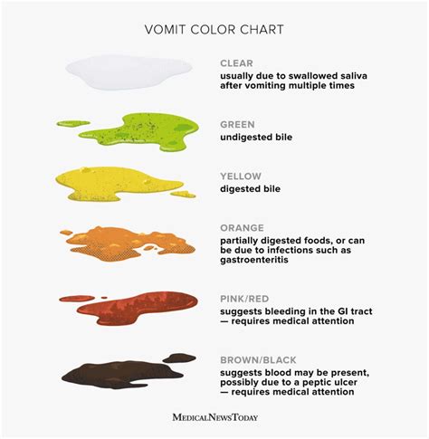 Vomit Colors: What They Mean 